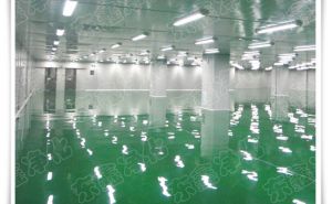 廣東車間凈化工程建設要注意的問題【東鑫凈化】“義無反顧”的指出