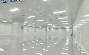 十萬(wàn)級(jí)凈化無(wú)塵車(chē)間藥廠凈化措施【東鑫凈化】